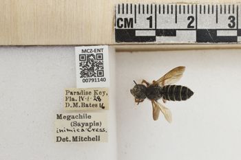 Media type: image;   Entomology 791140 Aspect: Labels
